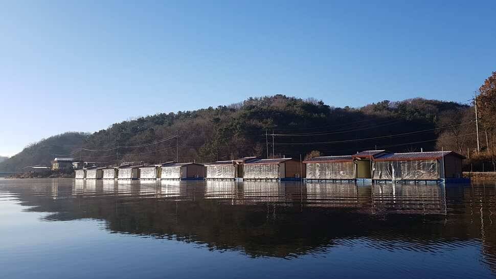 안성 두메낚시터 11월 23일 조황정보 (유료터정보 - 유료터점주조황)