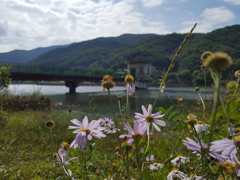 안성죽산장계지조항전경입니다 (유료터정보 - 유료터점주조황)