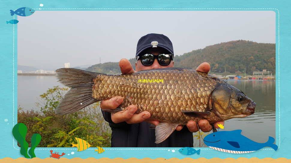 신원낚시터 10월 마지막주 조황소식과 방류 동영상 입니다 (유료터정보 - 유료터점주조황)