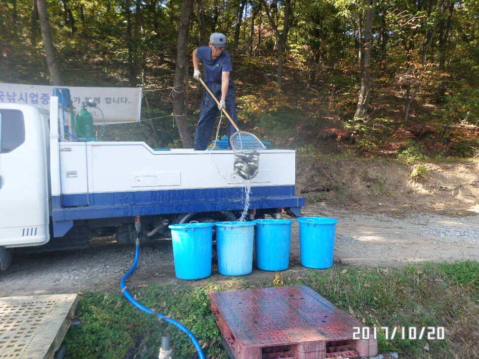 아산 신수지 주말 화보입니다 (유료터정보 - 유료터점주조황)