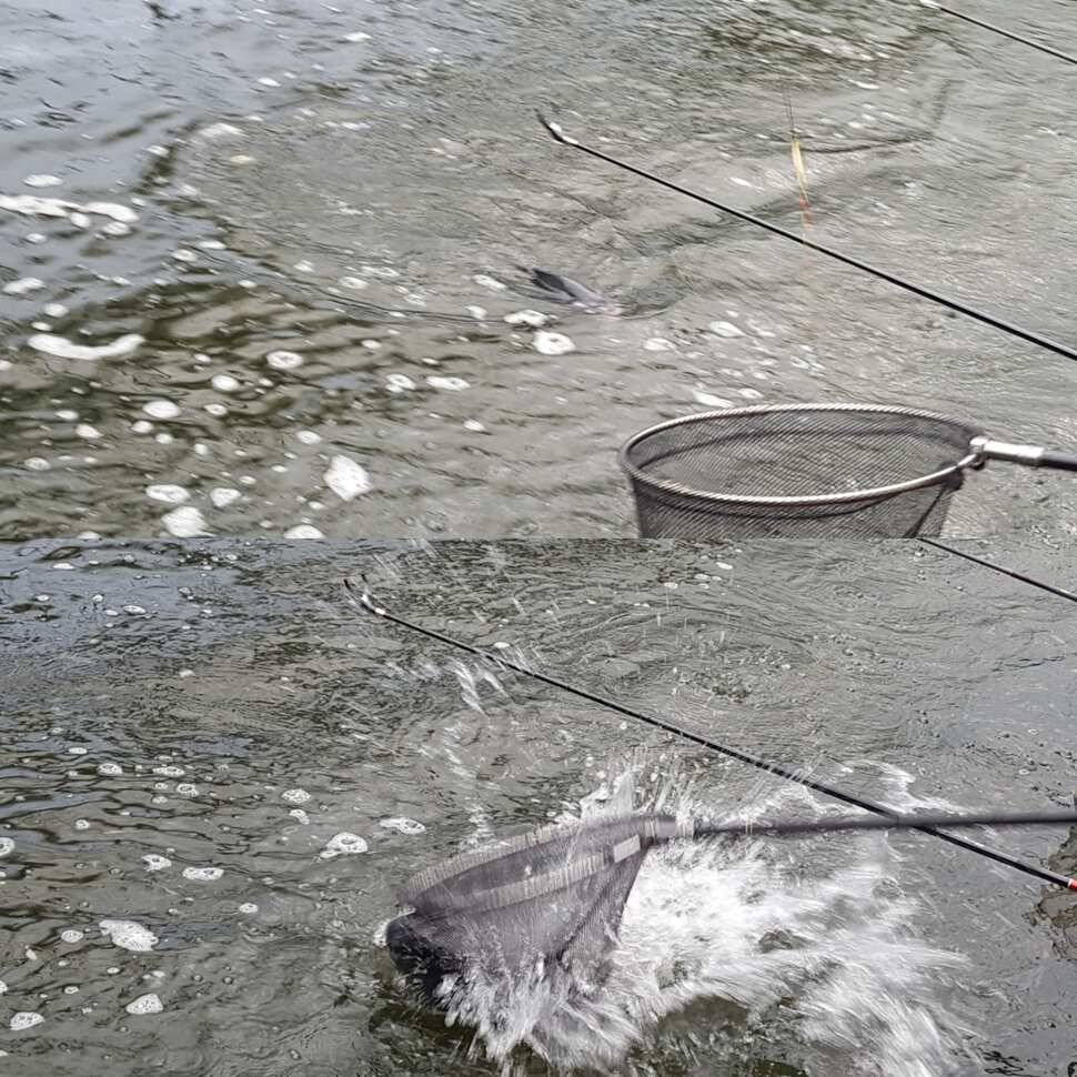 fish_pay_bfc79_071511_58097.jpg