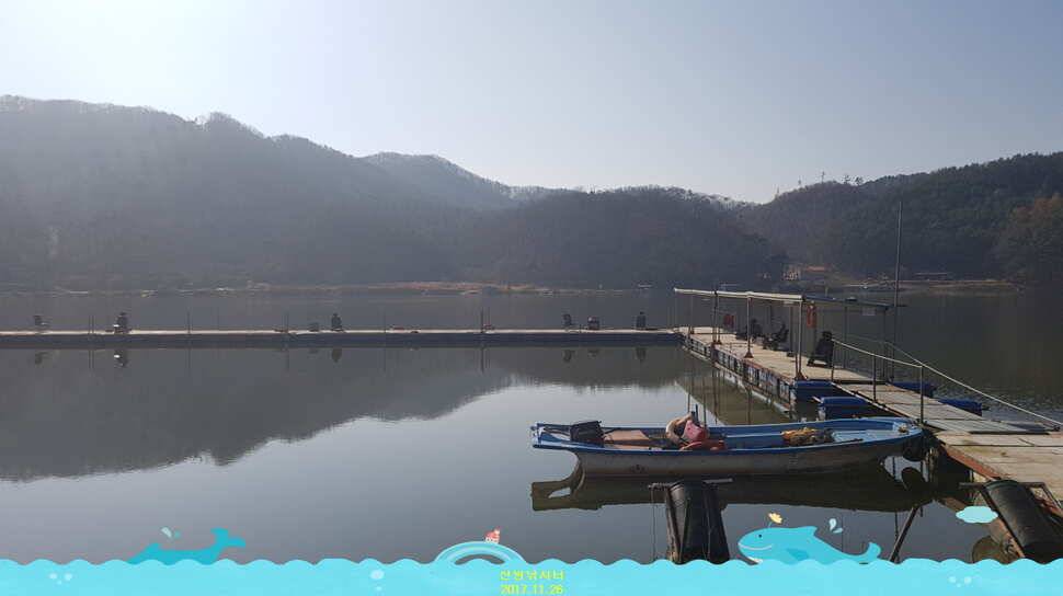 신원낚시터 11월 마지막주 조황소식과 방류 동영상 입니다 (유료터정보 - 유료터점주조황)