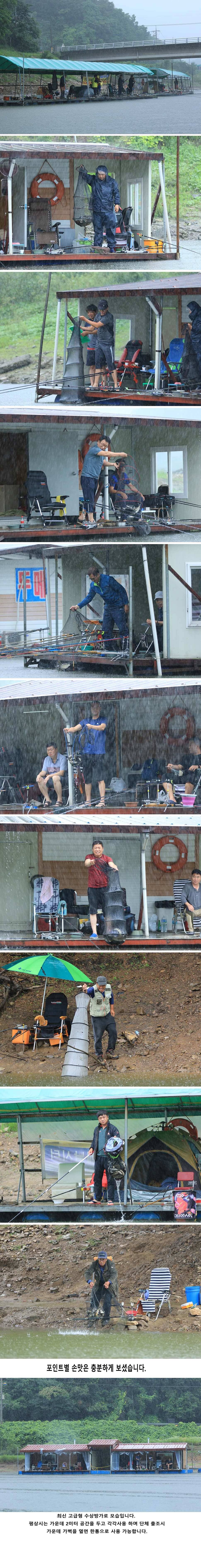 안성 두메낚시터 7월1일 조황안내 (유료터정보 - 유료터점주조황)