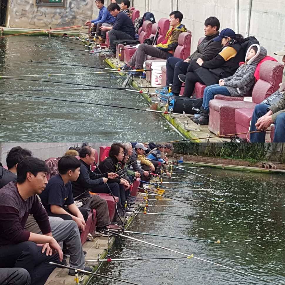 홍복 (유료터정보 - 유료터점주조황)
