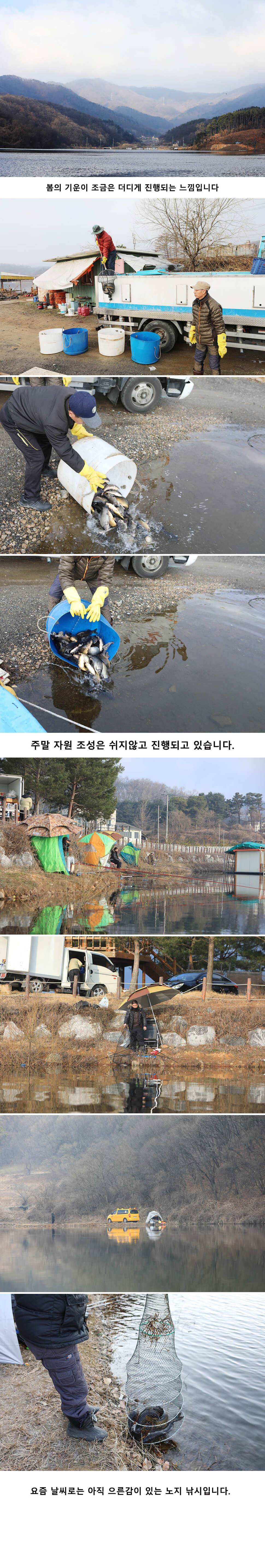 안성 두메낚시터 3월17일 조황안내 (유료터정보 - 유료터점주조황)