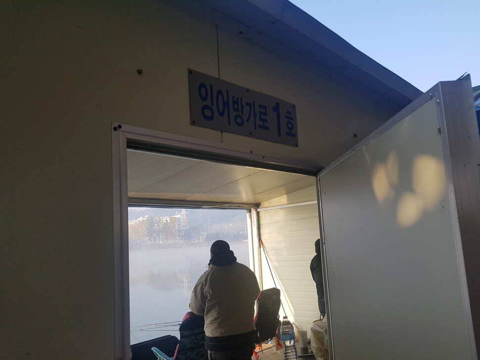 11 월 05 일 경기도 안성 거청낚시터 붕어조황 (유료터정보 - 유료터점주조황)