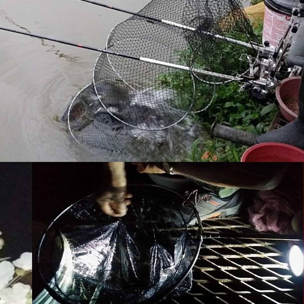다산왕순산왕 (유료터정보 - 유료터점주조황)