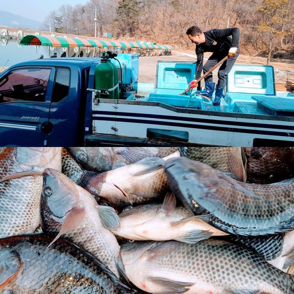망상 (유료터정보 - 유료터점주조황)