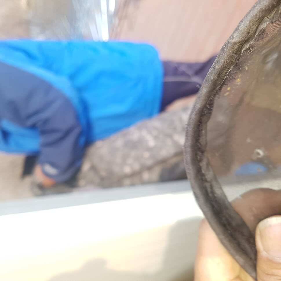 반갑습니다 붕님들 (유료터정보 - 유료터점주조황)