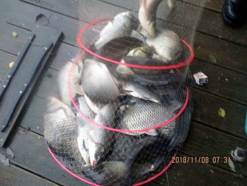 fish_pay_c5835_103535_81833.jpg