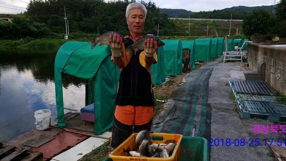 뉴페이스 (유료터정보 - 유료터점주조황)