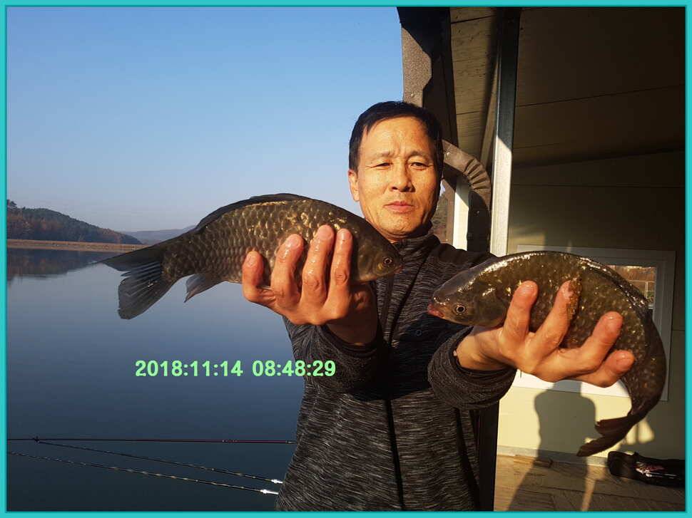 신원낚시터 11월 14일 조황 소식입니다 (유료터정보 - 유료터점주조황)