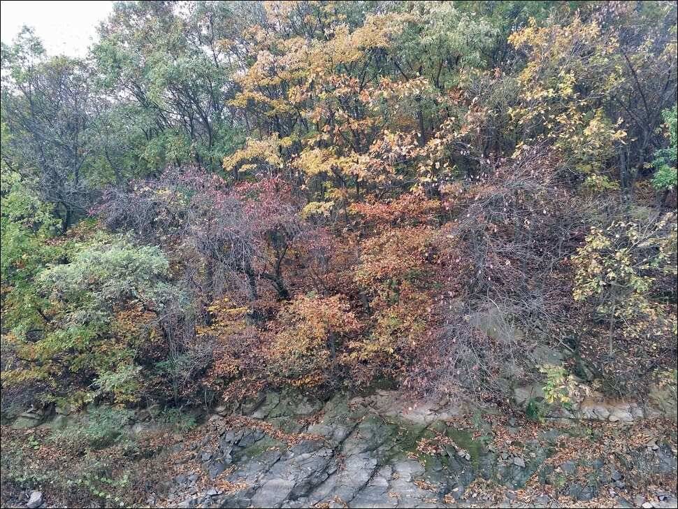 171015 송전지 서울집 조황 (유료터정보 - 유료터점주조황)