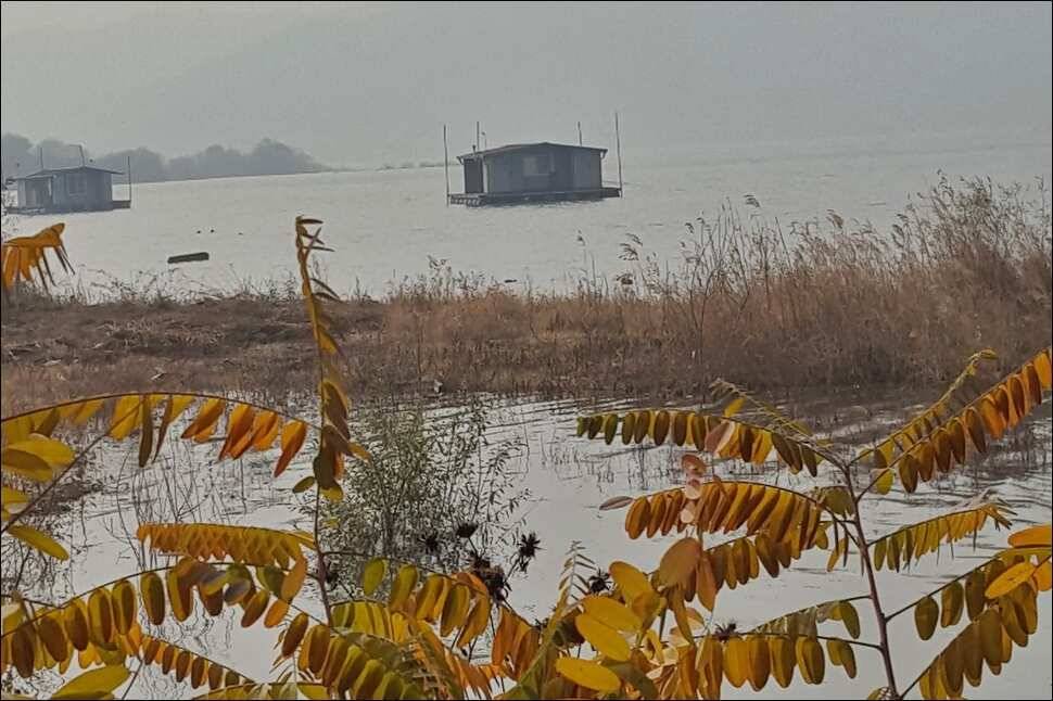 171108 송전지 서울집 조황 (유료터정보 - 유료터점주조황)
