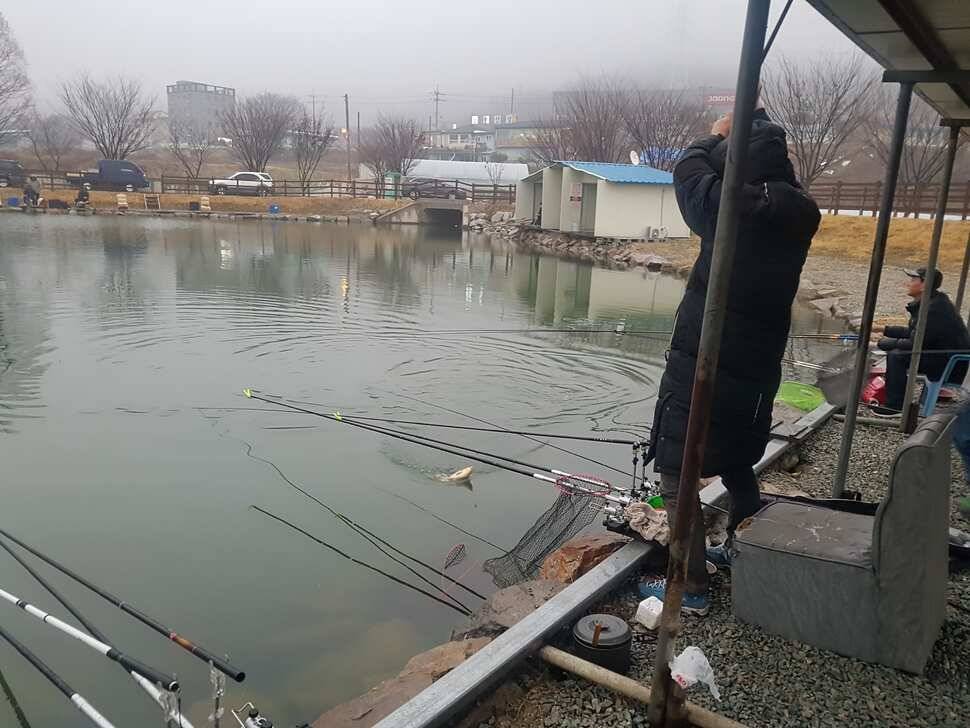 안성 거청낚시터 붕어조황 3 월 16 일 (유료터정보 - 유료터점주조황)