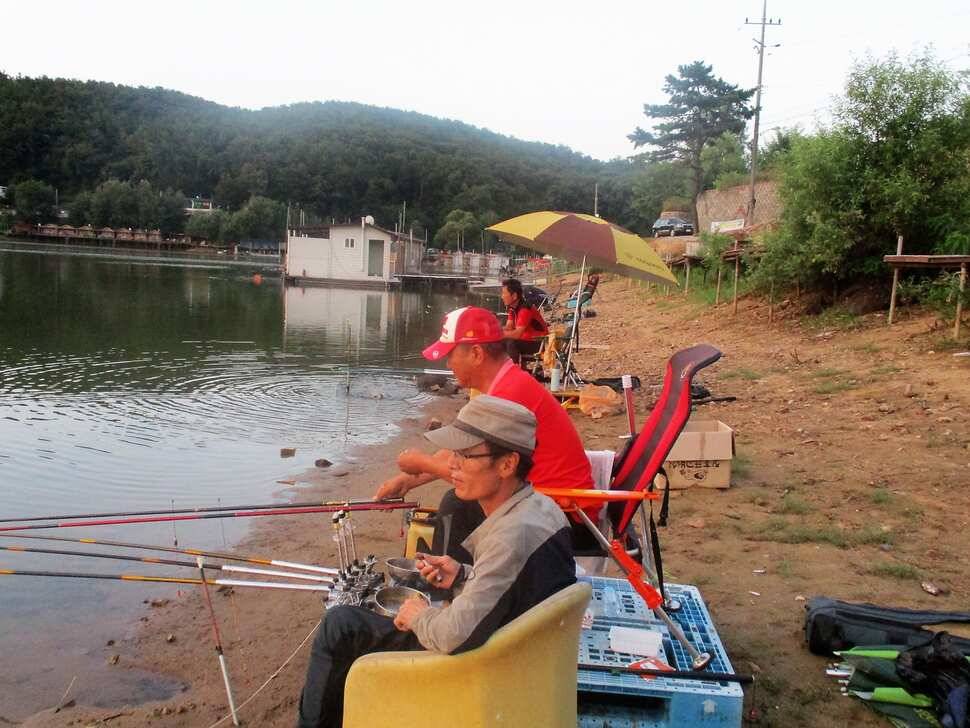 반제지 주말조황정보입니다 (유료터정보 - 유료터점주조황)