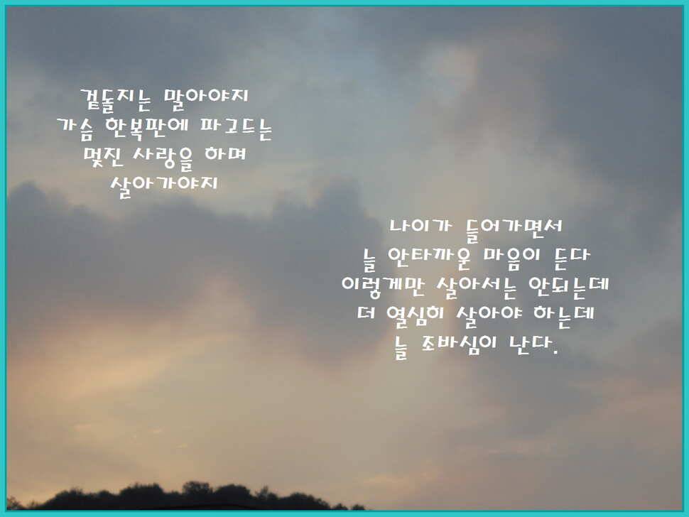 도심속의 작은 쉼터 화성 관리 낚시터입니다노지보단 방가로쪽 상류보단 하류쪽이 더 좋았습니다 (유료터정보 - 유료터점주조황)