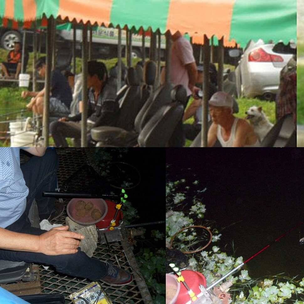 다산왕순산왕 (유료터정보 - 유료터점주조황)