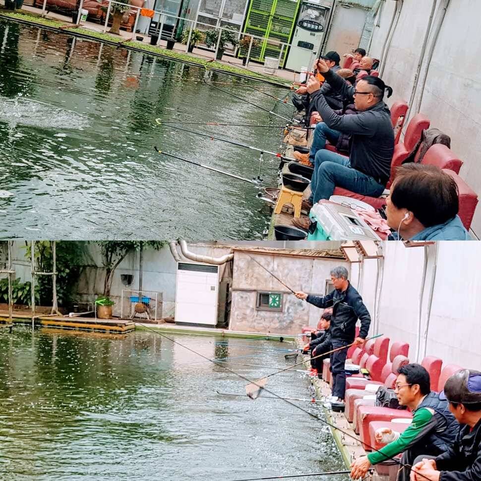 엄선 방류국내산 (유료터정보 - 유료터점주조황)