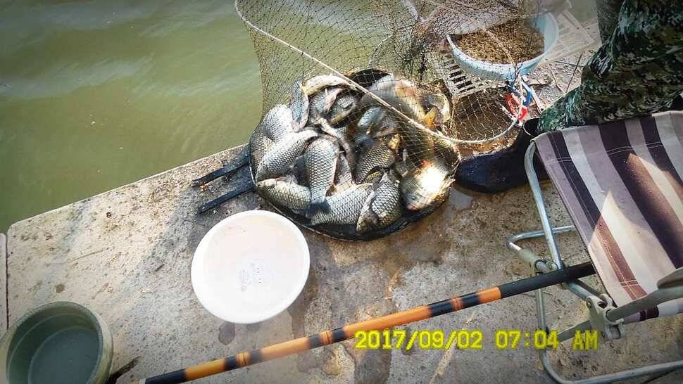 반제지 조황정보입니다 (유료터정보 - 유료터점주조황)