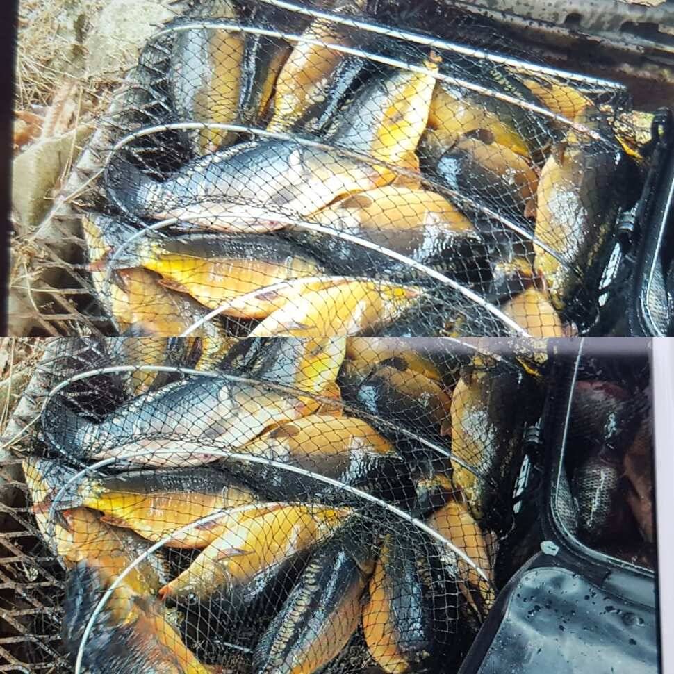 꿀맛 식혜 (유료터정보 - 유료터점주조황)