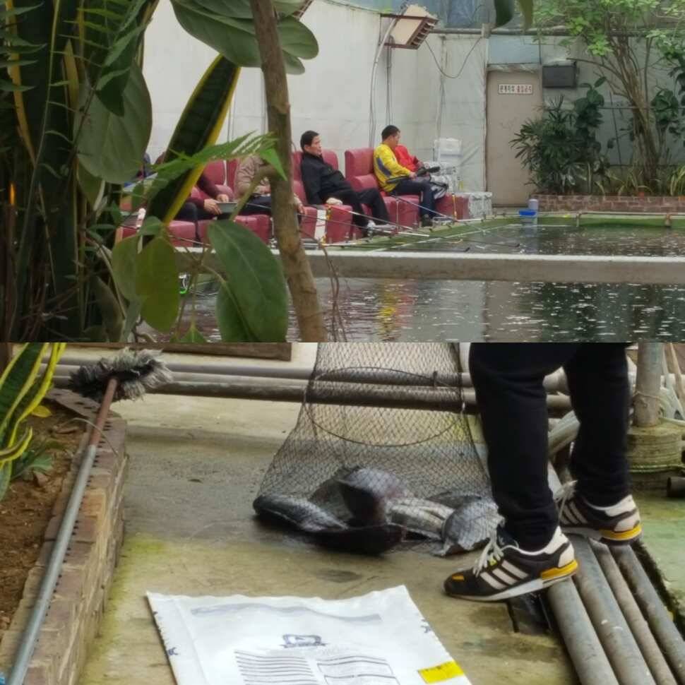 똑같은 신념 (유료터정보 - 유료터점주조황)