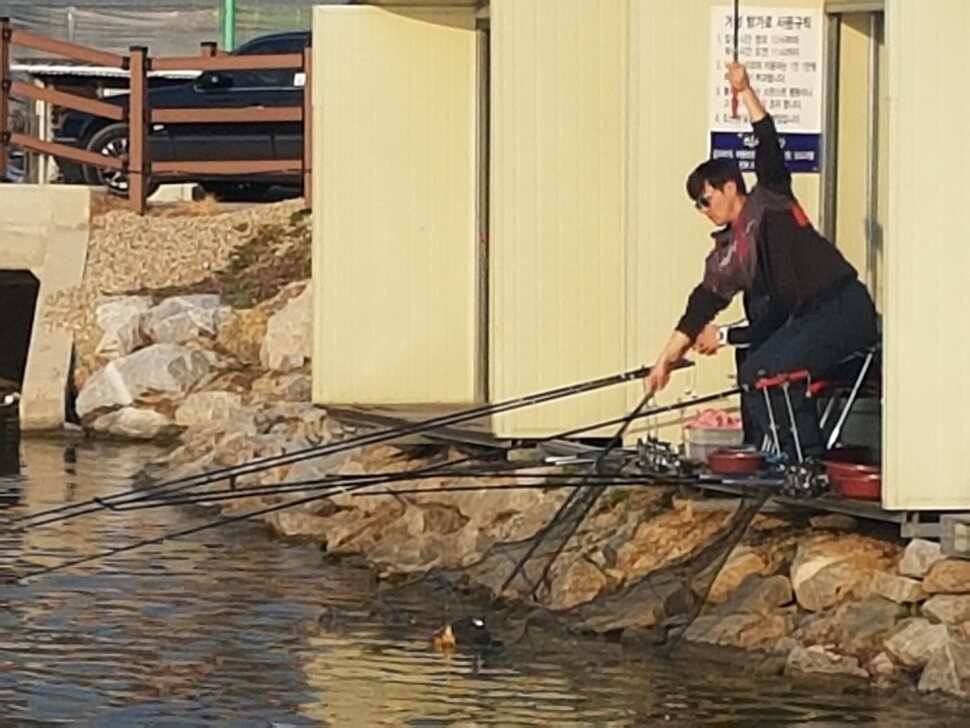 안성 거청낚시터 붕어조황 3 월 27 일 (유료터정보 - 유료터점주조황)