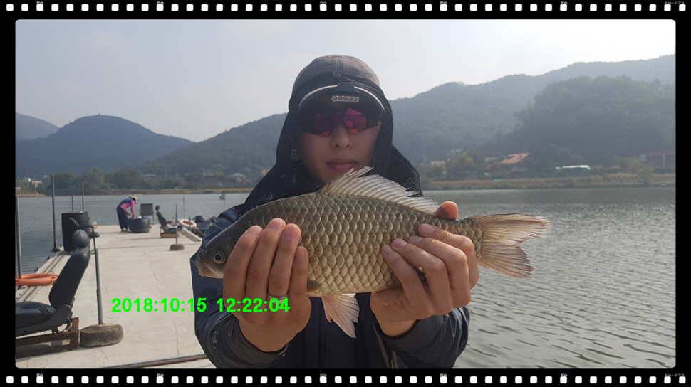 신원낚시터 10월 16일 조황소식과 방류 동영상입니다 (유료터정보 - 유료터점주조황)