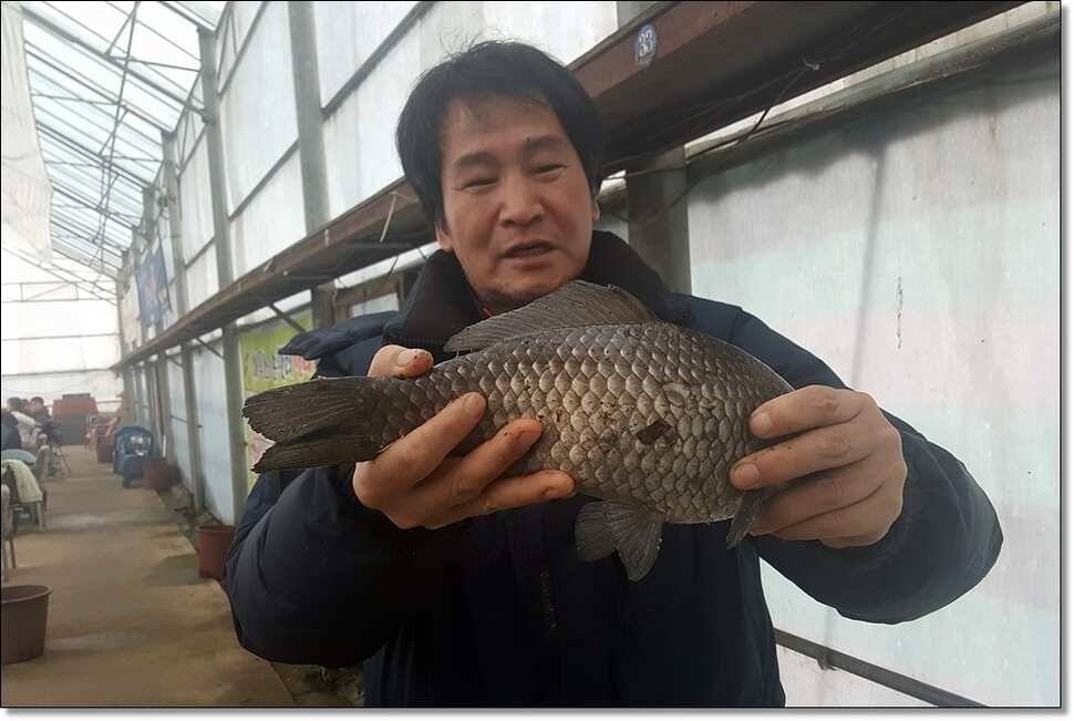 잔치집 분위기 입니다 (유료터정보 - 유료터점주조황)