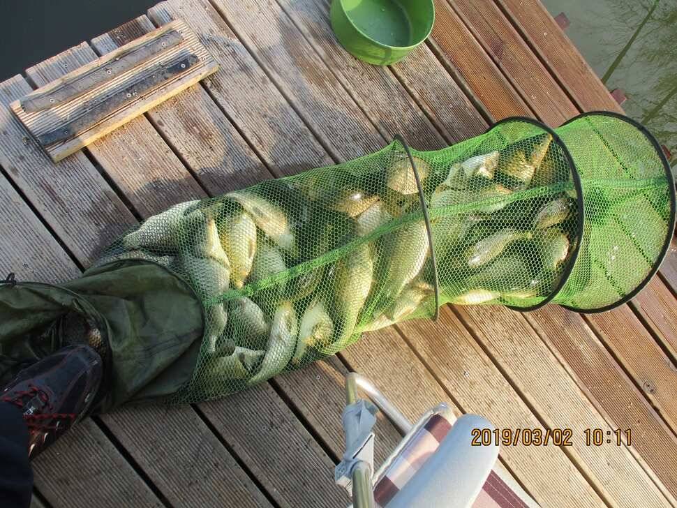 반제낚시터 조황정보 (유료터정보 - 유료터점주조황)