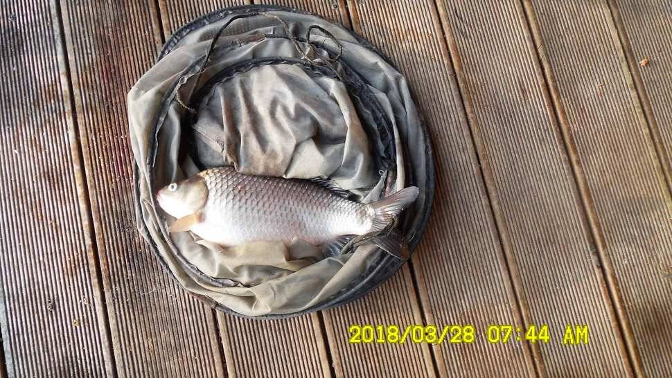 반제지 조황정보입니다 (유료터정보 - 유료터점주조황)