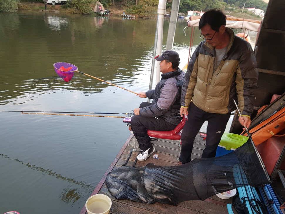산들의 주말 모습 올립니다 (유료터정보 - 유료터점주조황)