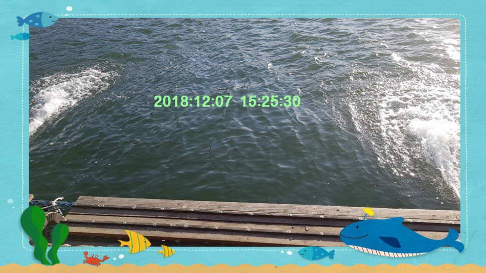 신원낚시터 12월 11일 토종붕어 방류 동영상 입니다 (유료터정보 - 유료터점주조황)