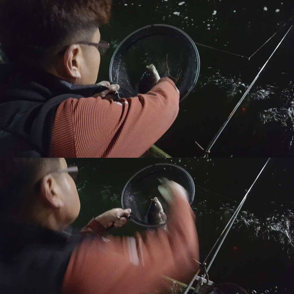 낚시맹 (유료터정보 - 유료터점주조황)