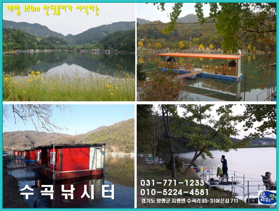 양평 수곡낚시터 주중조황 좋아지고 있으며 노지잔교 물낚시 가능합니다 (유료터정보 - 유료터점주조황)