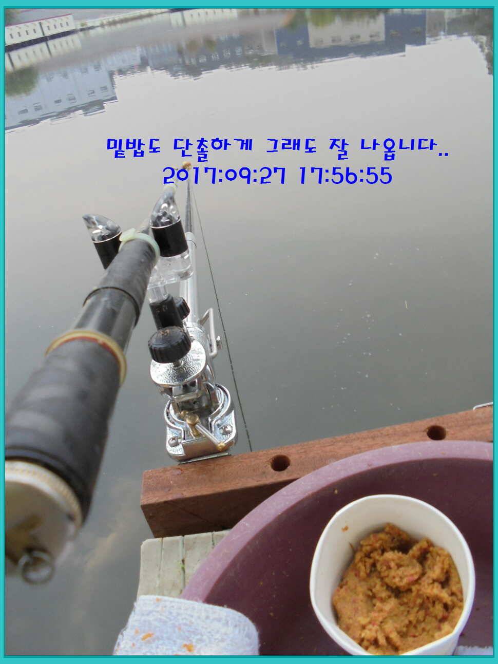 도심속의 작은 쉼터 화성 관리 낚시터입니다행복하고 풍성한 온 가족 화목한 추석 보내셨습니까 (유료터정보 - 유료터점주조황)