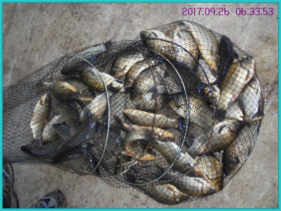 도심속의 작은 쉼터 화성 관리 낚시터입니다9월이여 안녕 (유료터정보 - 유료터점주조황)