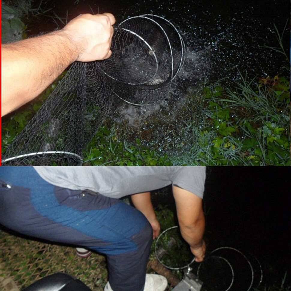 다산왕순산왕 (유료터정보 - 유료터점주조황)