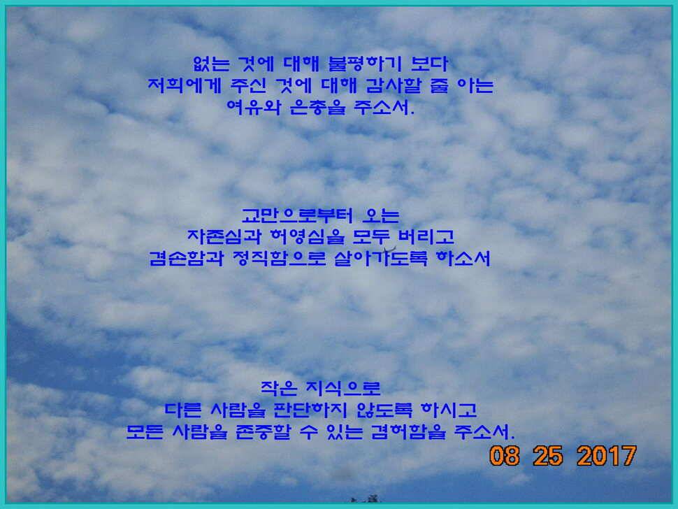 도심속의 작은 쉼터 화성 관리 낚시터입니다8월도 하루 남았습니다 (유료터정보 - 유료터점주조황)