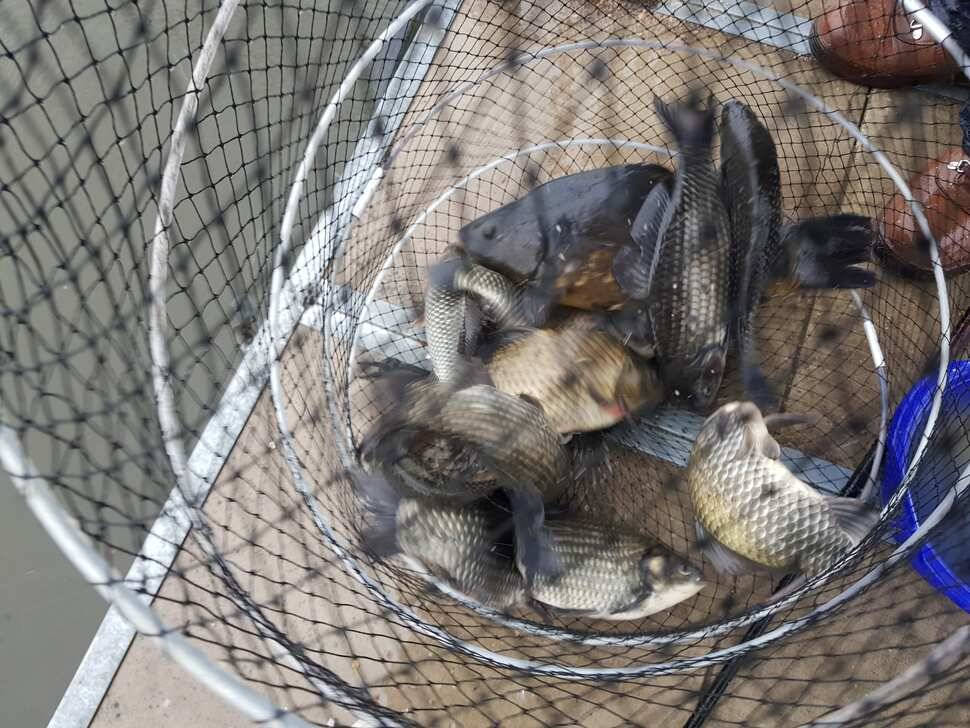 fish_pay_d489c_040921_30005.jpg
