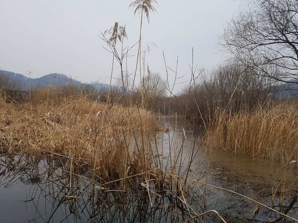 철수시간때 긴장하세요 (유료터정보 - 유료터점주조황)