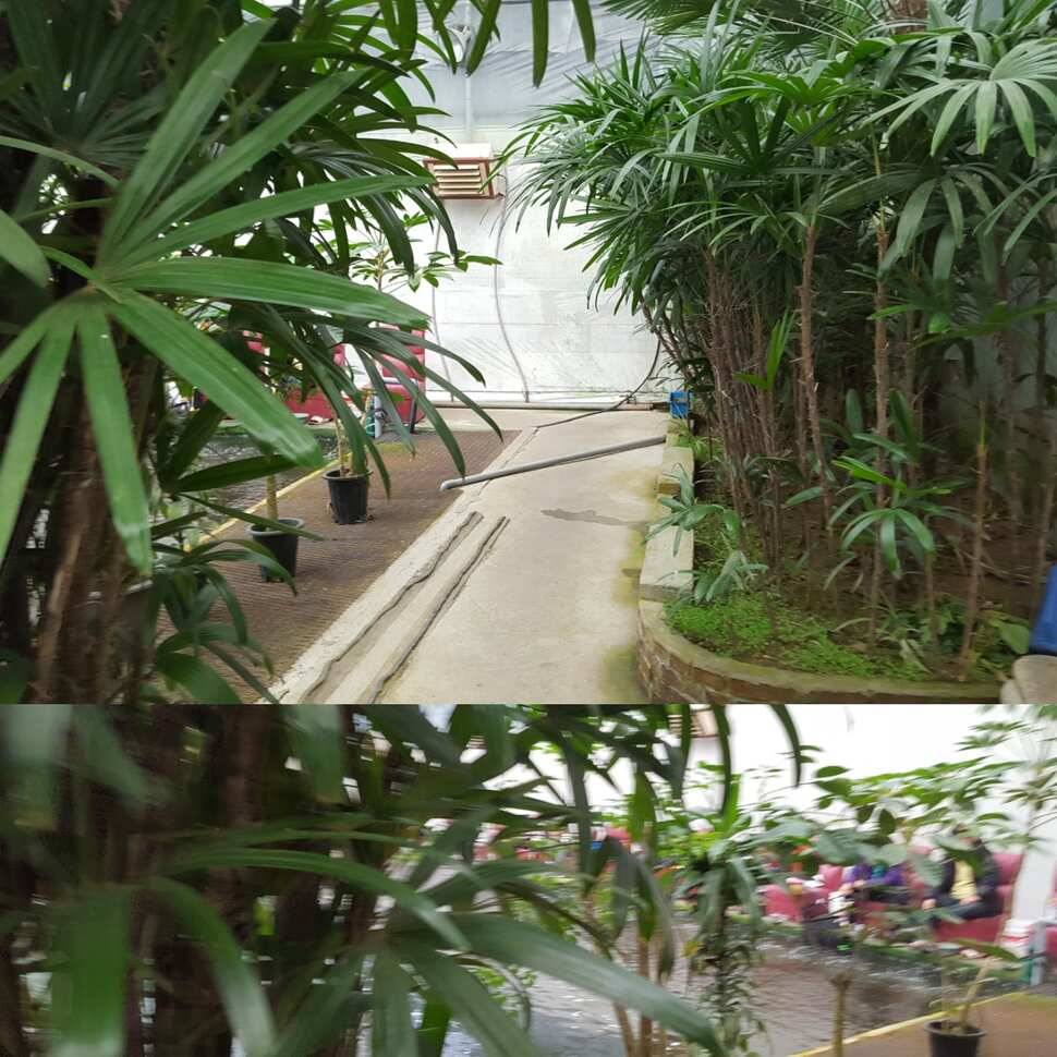 앙심 (유료터정보 - 유료터점주조황)