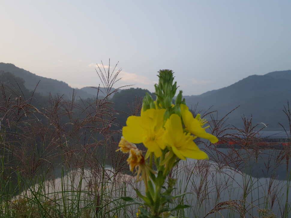 안성죽산장계지조항전경입니다 (유료터정보 - 유료터점주조황)