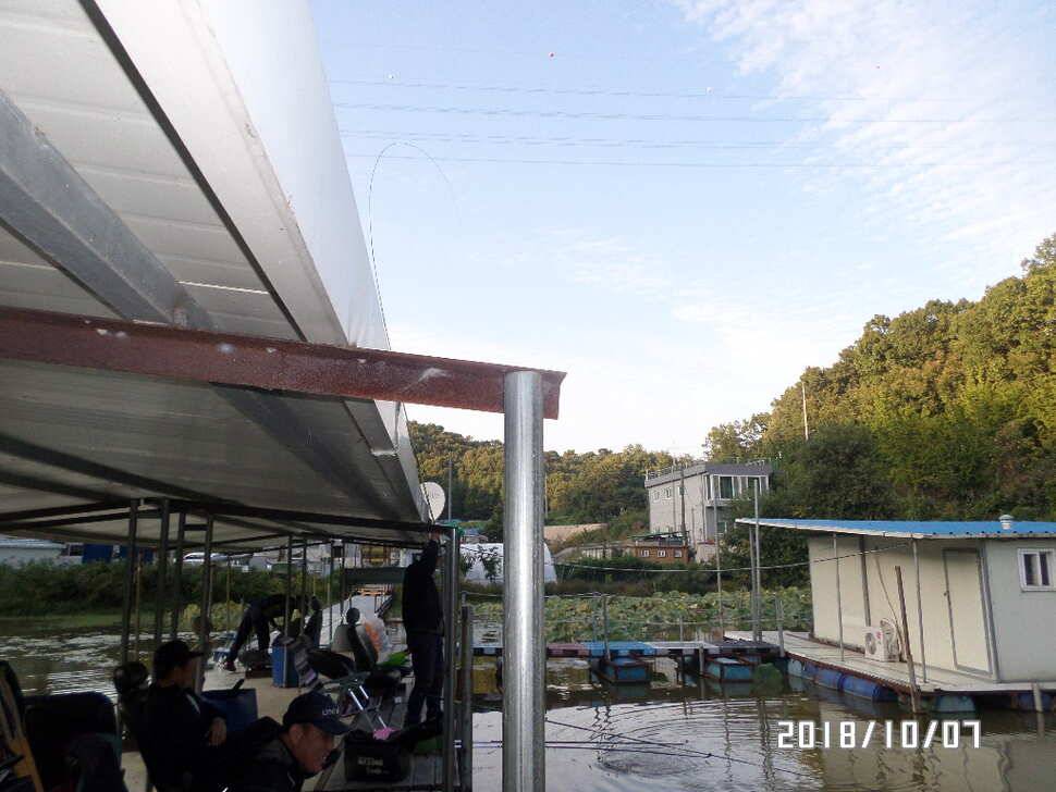 아산신수지 10월 첫 주말 화보입니다 (유료터정보 - 유료터점주조황)