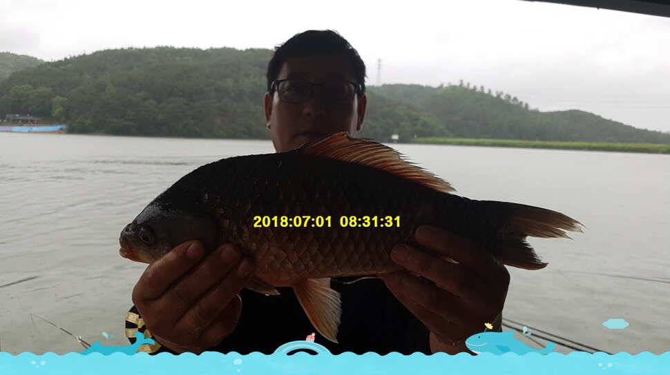 신원낚시터 7월 2일 만수위 4짜 소식입니다 (유료터정보 - 유료터점주조황)