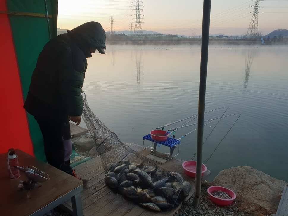 거청낚시터 11 월 23 일 붕어조황 (유료터정보 - 유료터점주조황)