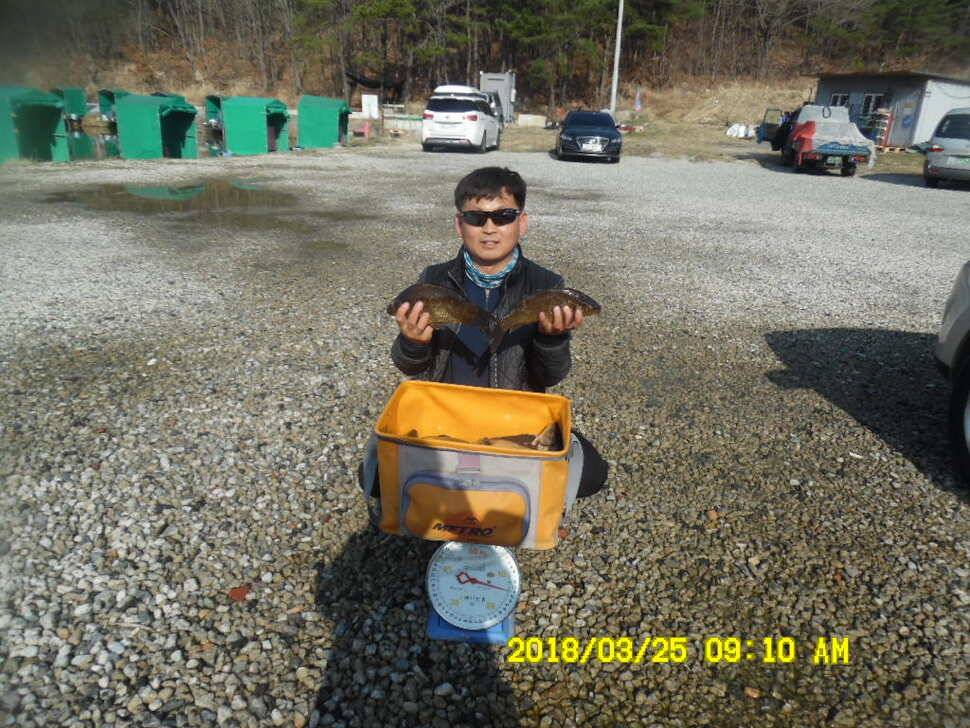 경주 동산낚시터 지난주 조황 (유료터정보 - 유료터점주조황)