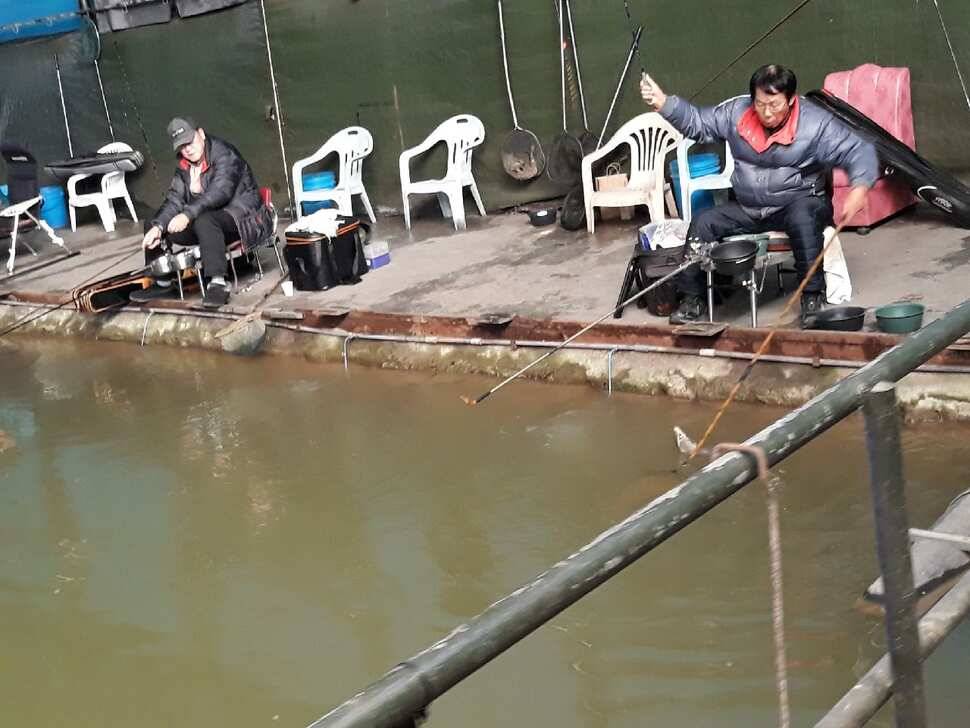 추워질수록 붕어들의 활성도는 더 좋은듯합니다 (유료터정보 - 유료터점주조황)