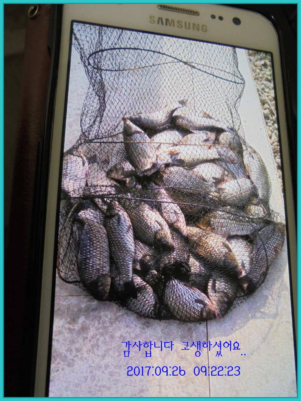 도심속의 작은 쉼터 화성 관리 낚시터입니다9월이여 안녕 (유료터정보 - 유료터점주조황)
