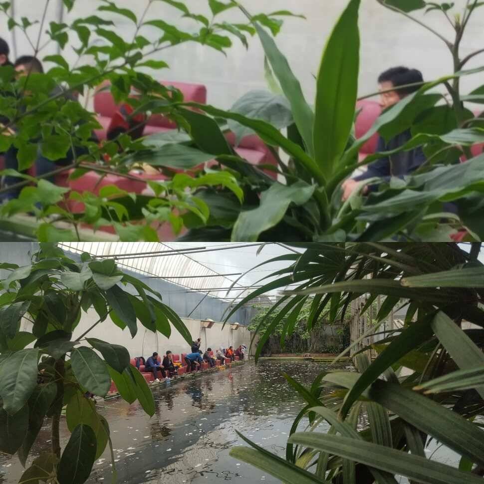 점보 사이즈 (유료터정보 - 유료터점주조황)